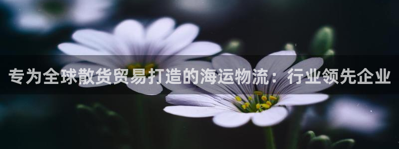 welcome888集团网站