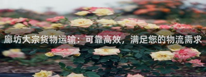 电子游戏888集团网站